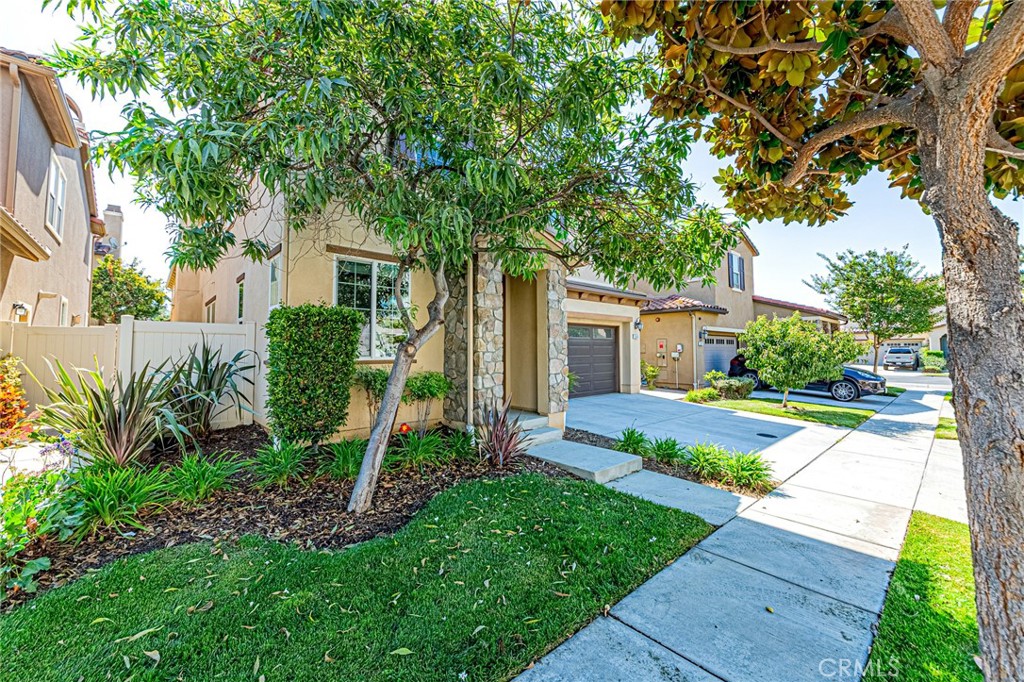 12495 Olive Lane