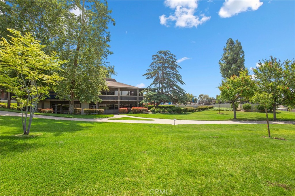 15919 Alta Vista 702B