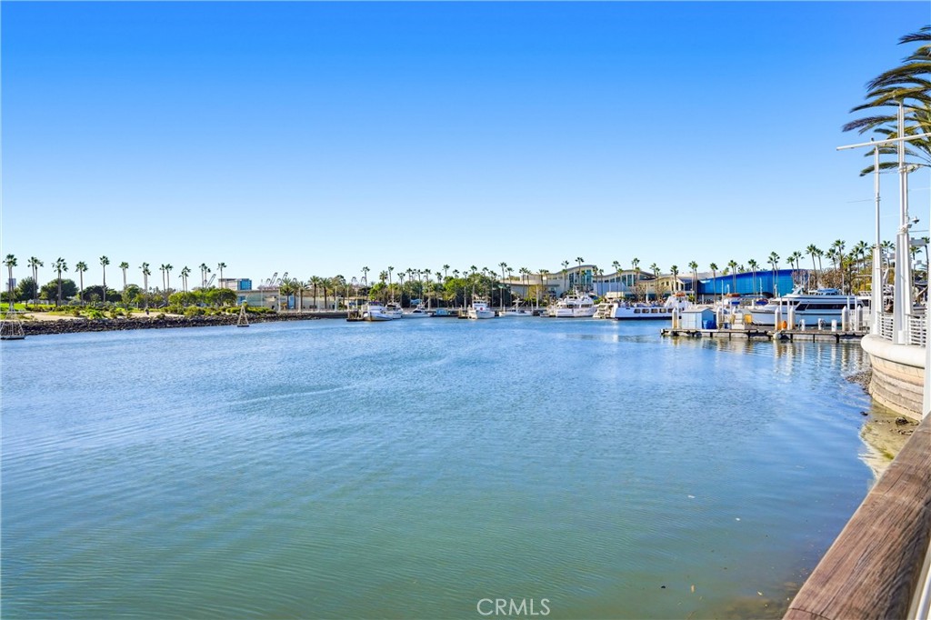 545 Chestnut Ave #207