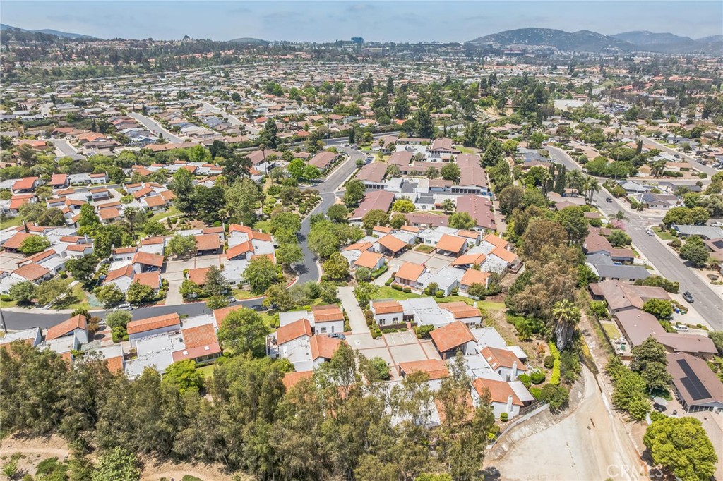 16511 Caminito Vecinos 59