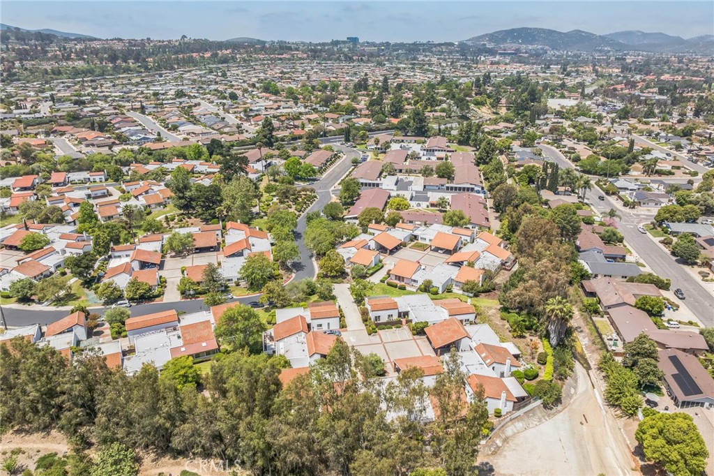 16511 Caminito Vecinos 59