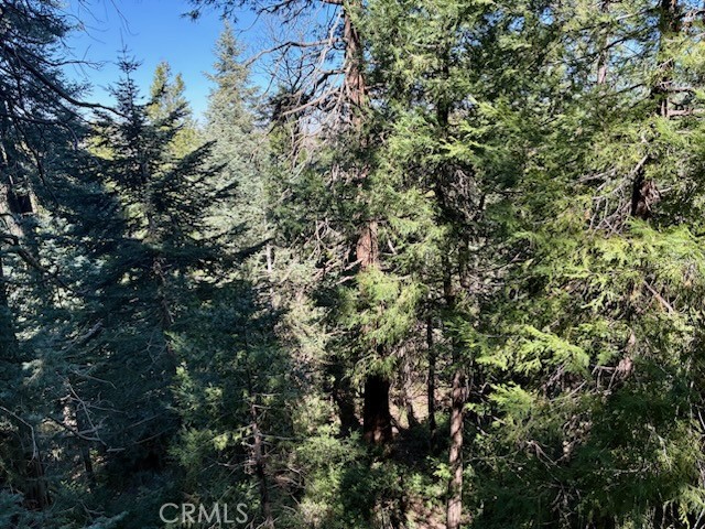 23992 Lakeview Dr.