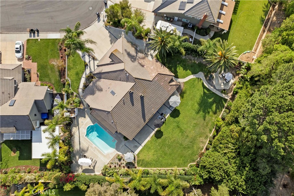 4060 Hickory Tree