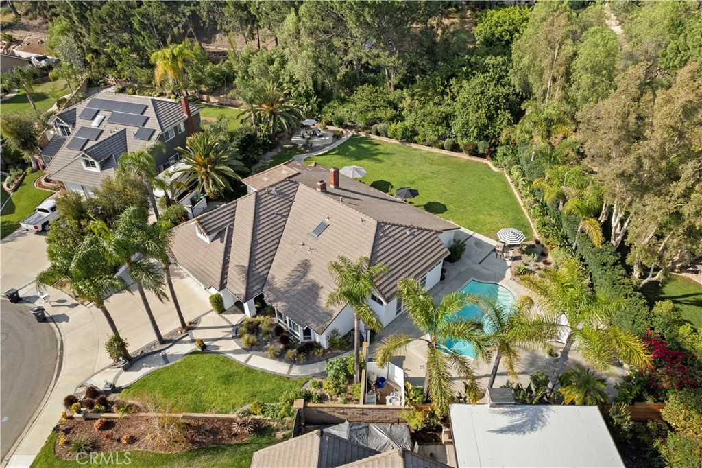 4060 Hickory Tree