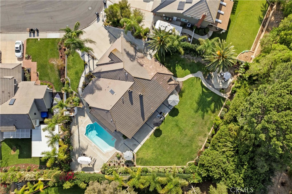 4060 Hickory Tree