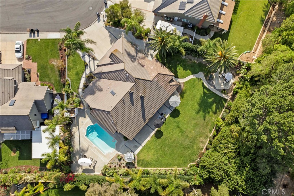 4060 Hickory Tree