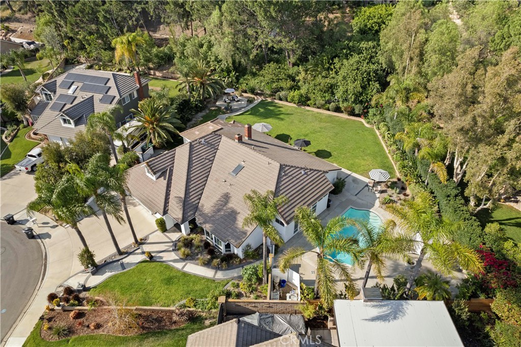 4060 Hickory Tree