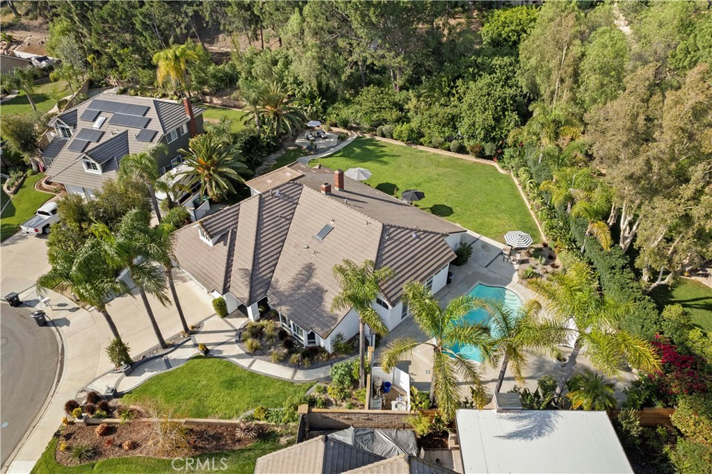 4060 Hickory Tree