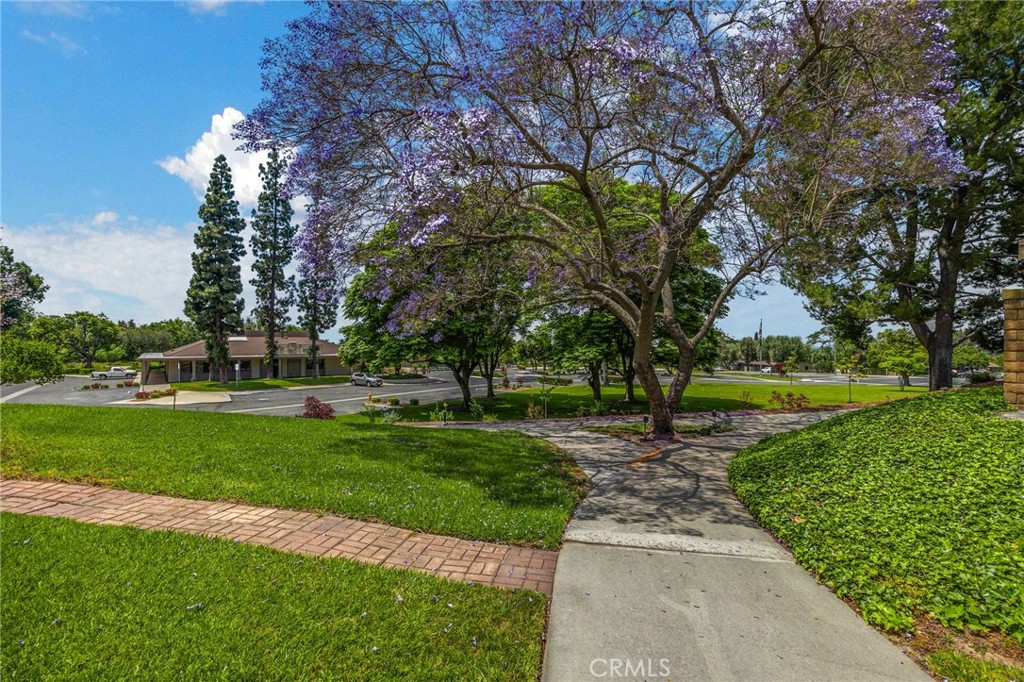 15933 Alta Vista 606B
