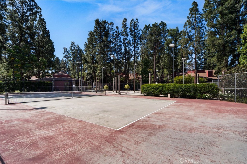 374 S Prospectors 121