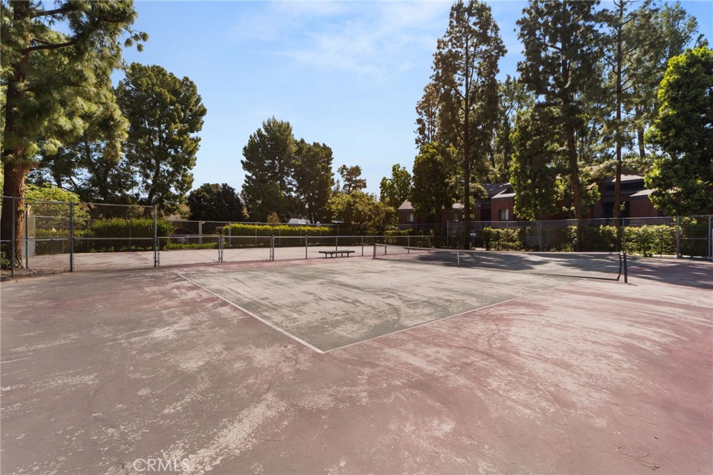 374 S Prospectors 121