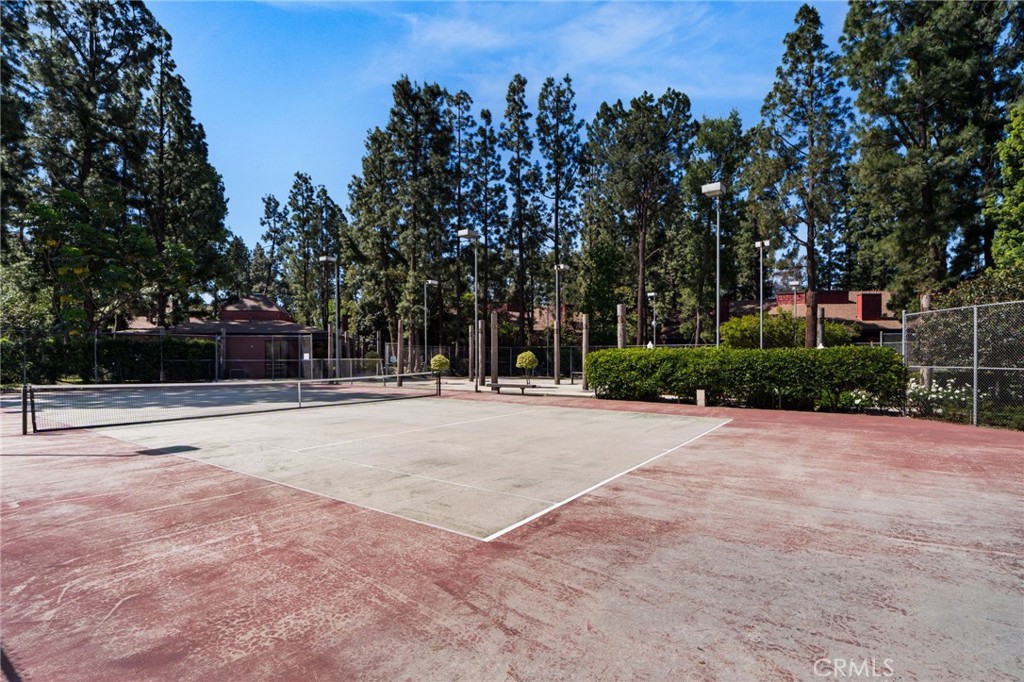 374 S Prospectors 121