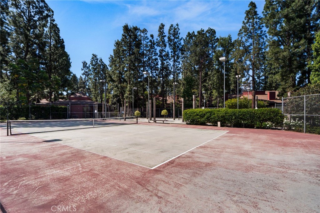374 S Prospectors 121