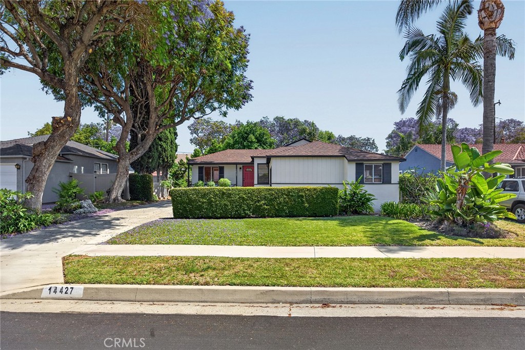 14427 Hayward