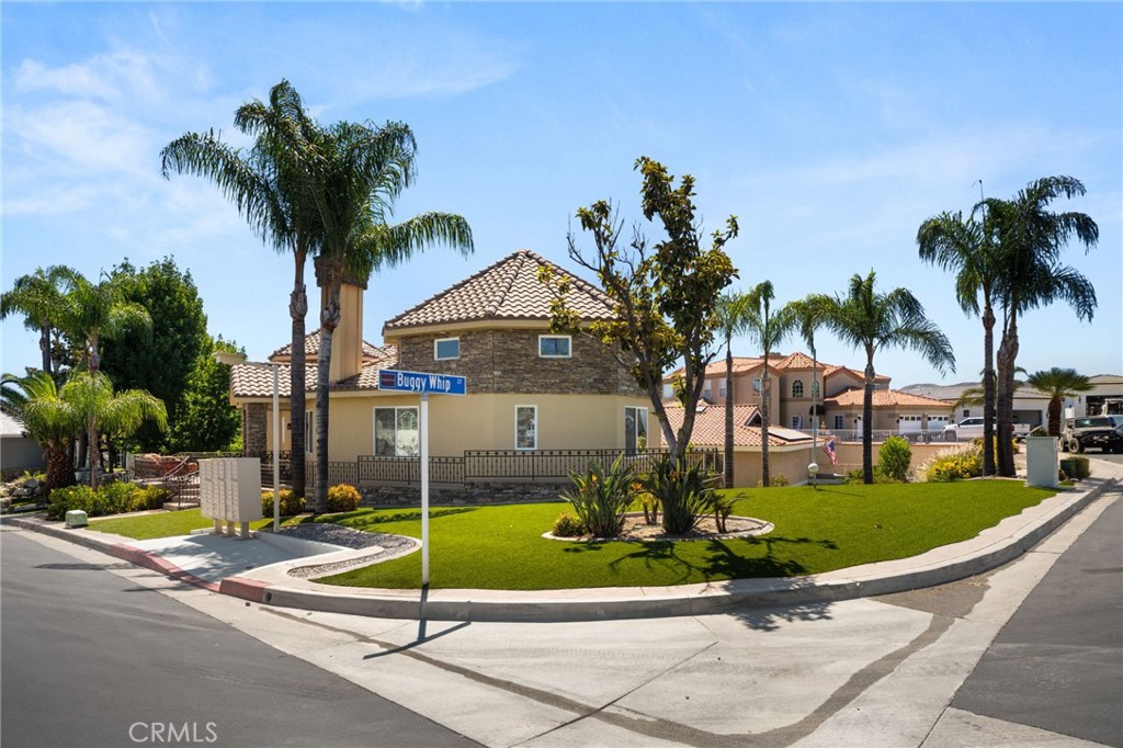29710 Buggywhip Court