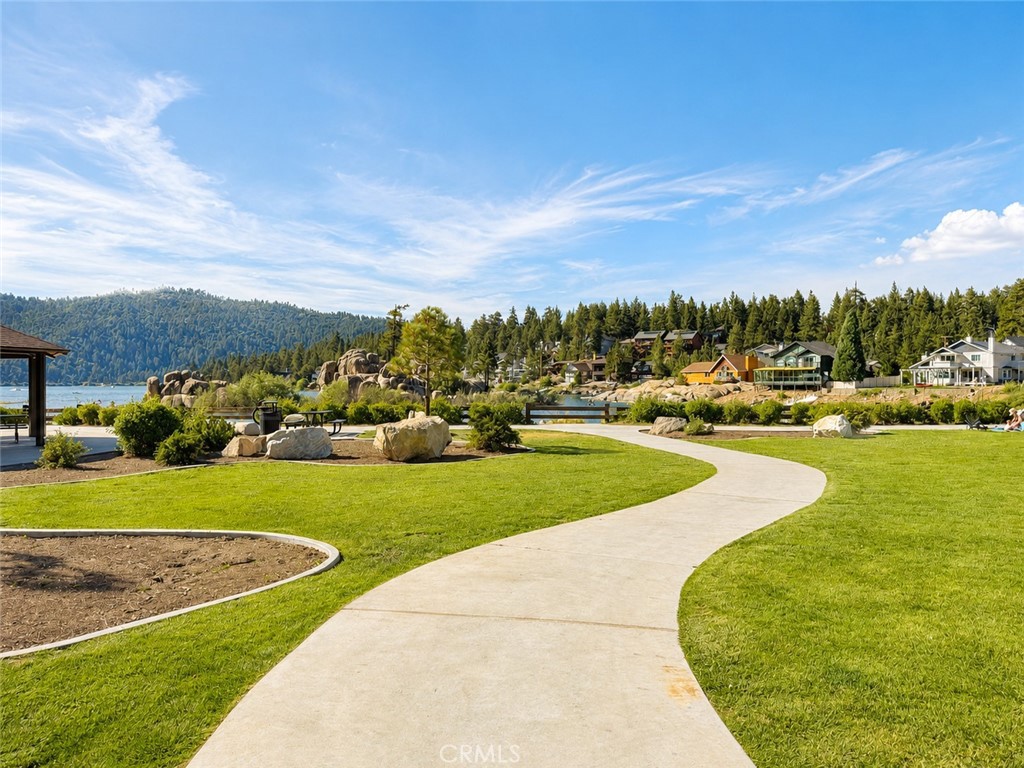 39893 Forest Road