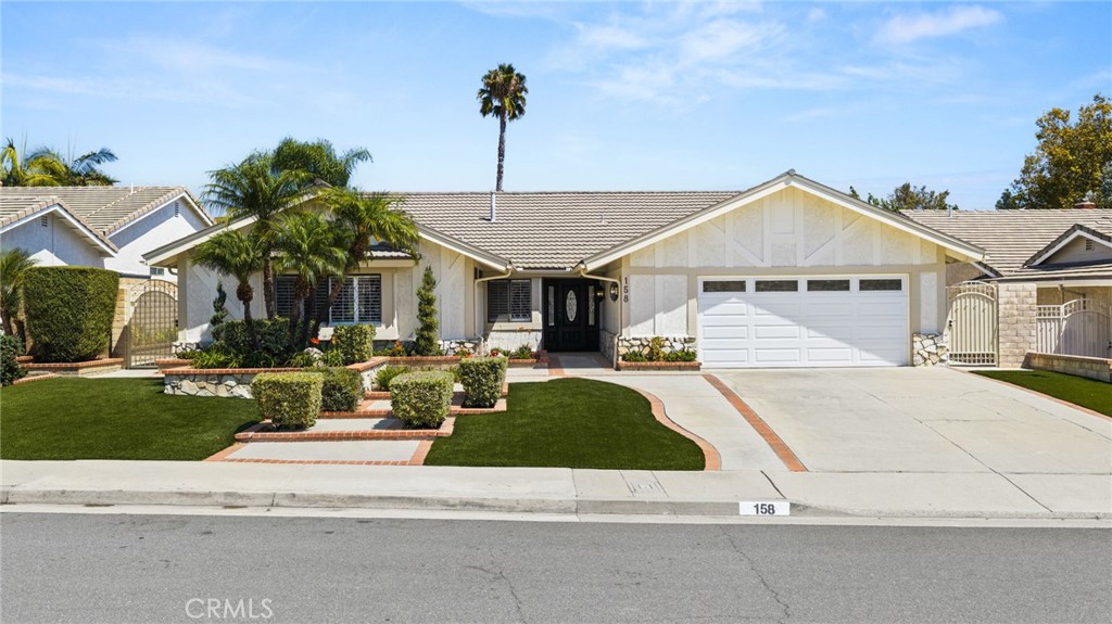 158 Bluegrass Street