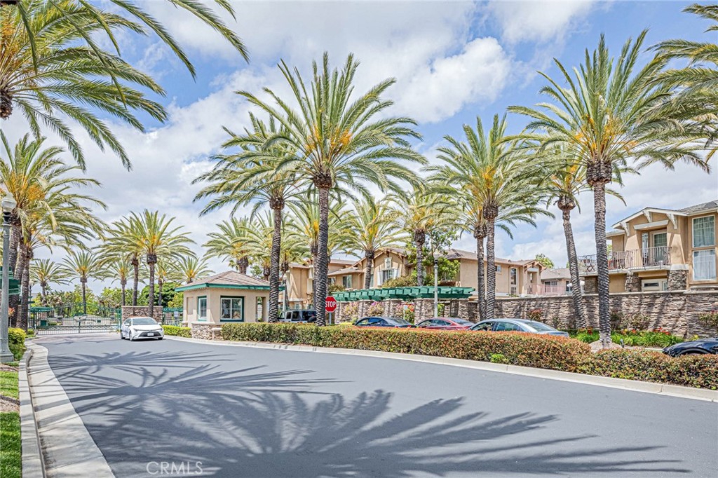 17808 Olive Court