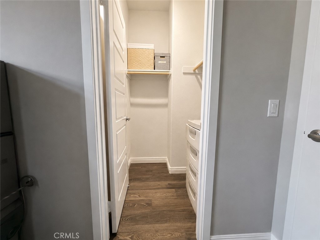 5784 Spring
