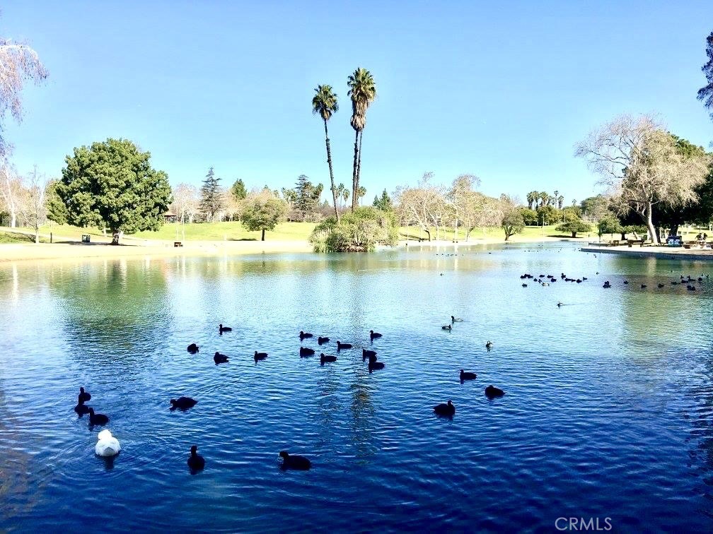 13615 TEAL RIDGE Court