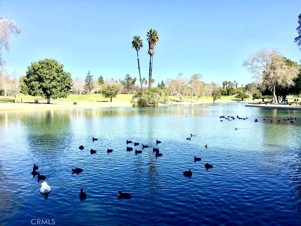 13615 TEAL RIDGE Court