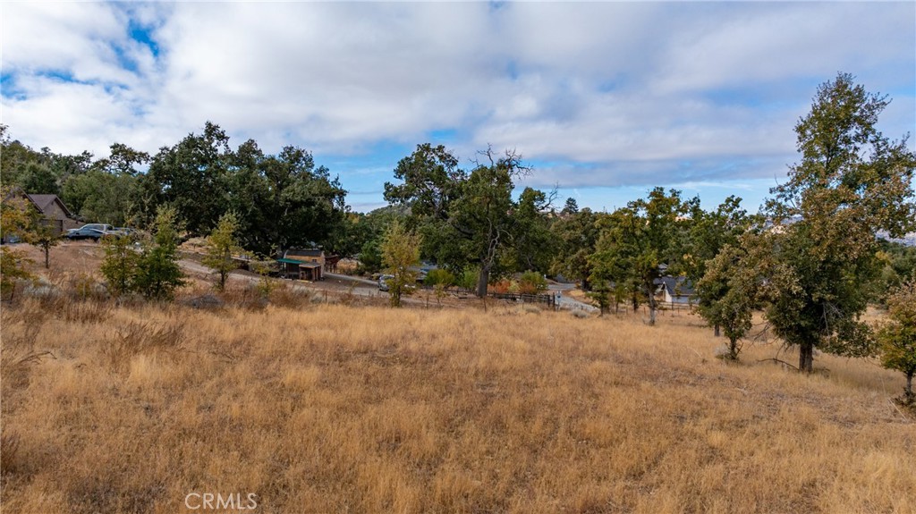 17701 Alps Drive