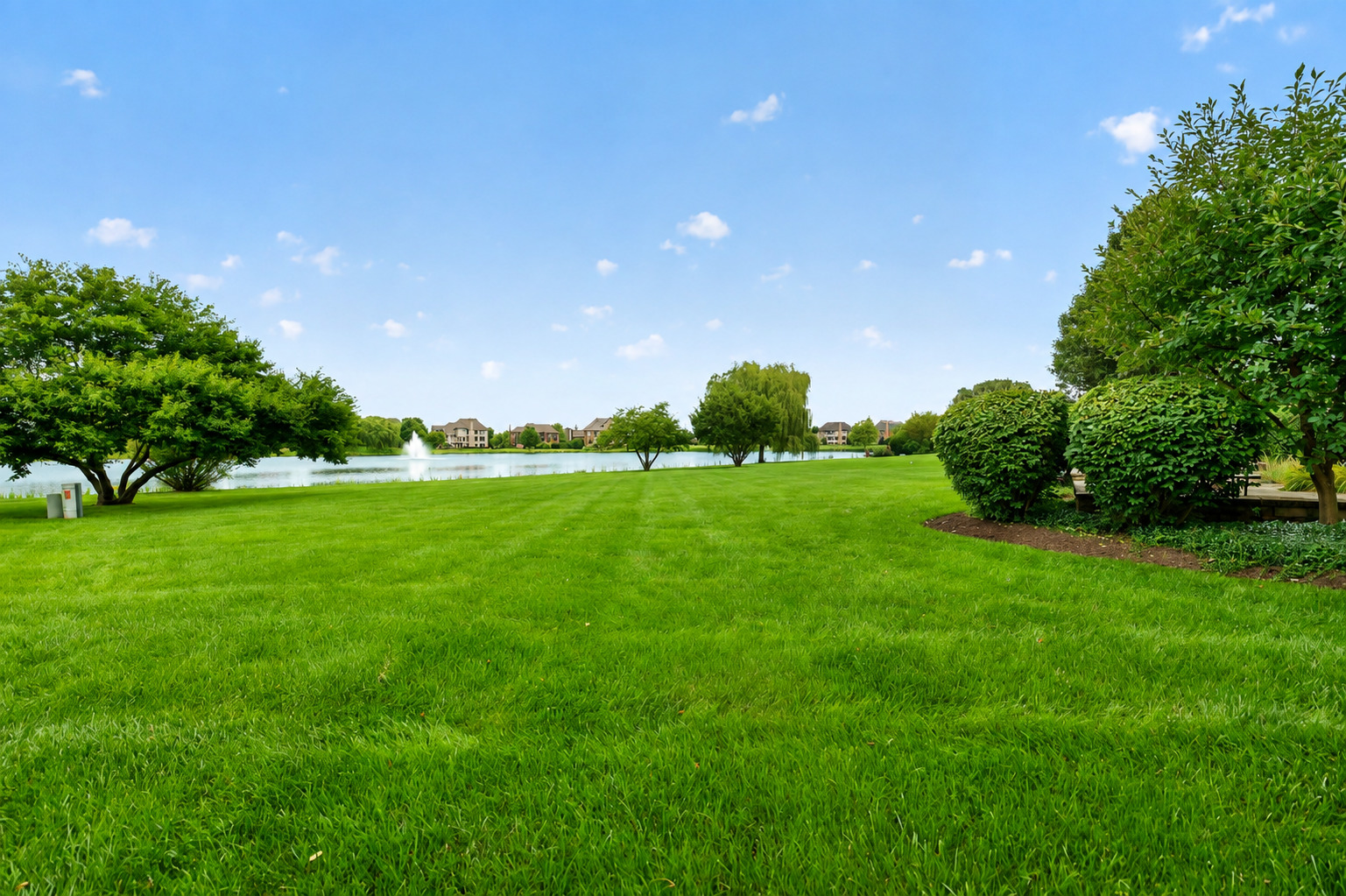 39W748 Goldenrod Drive