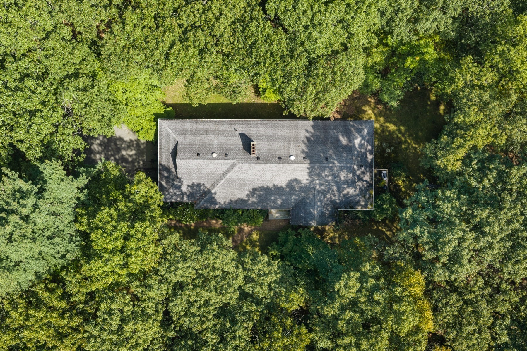 Aerial view of a gray-shingled house surrounded by dense summer trees.