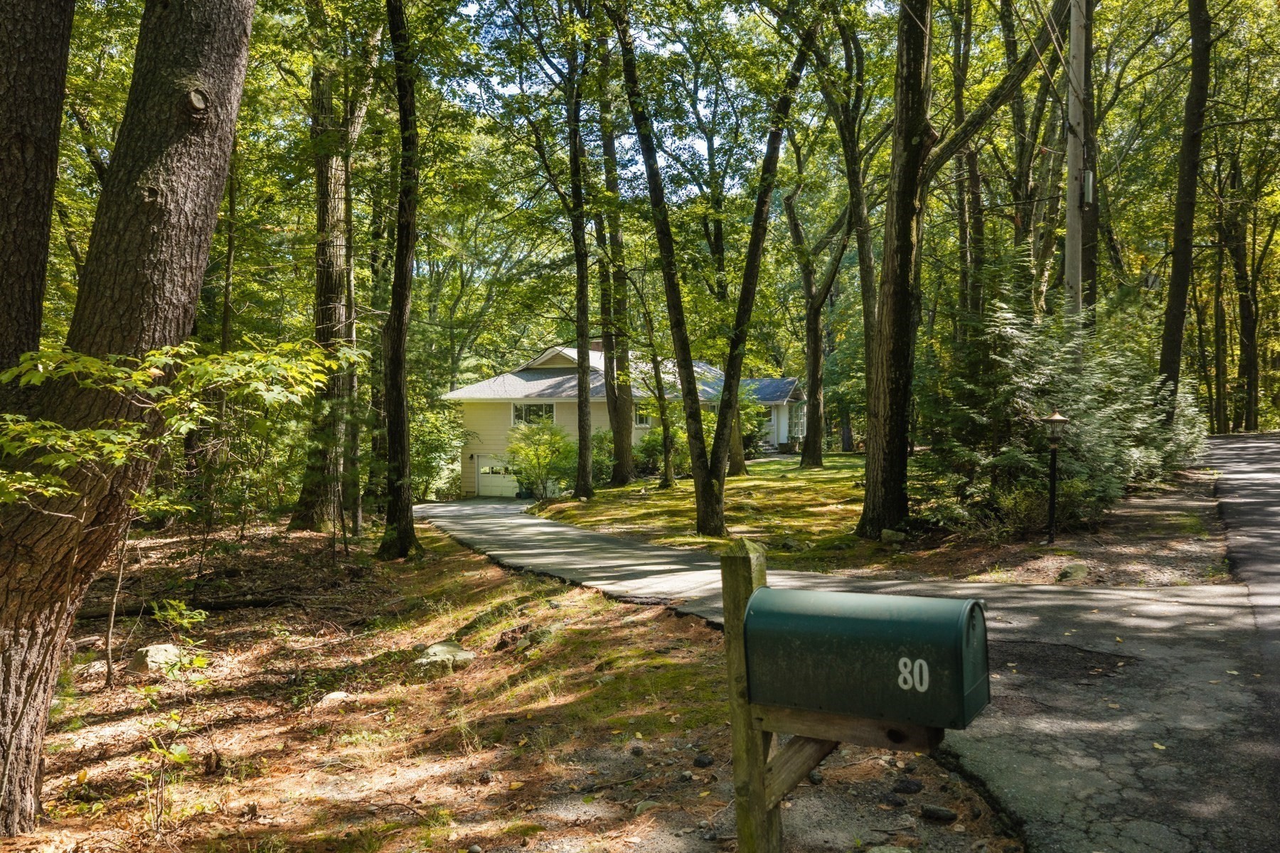 House at the end of a driveway among mature trees, with a mailbox marked 80.