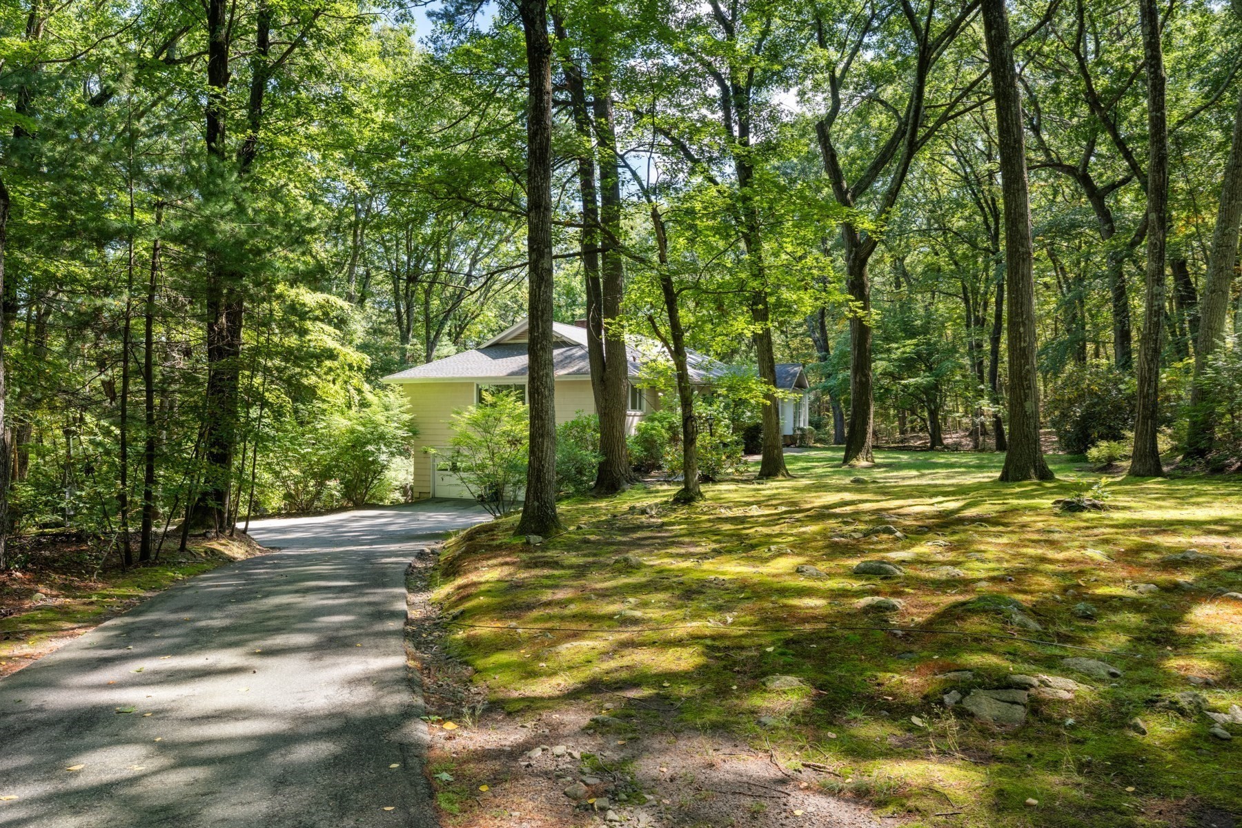 House nestled among mature trees, with a curved driveway and sunlit lawn.