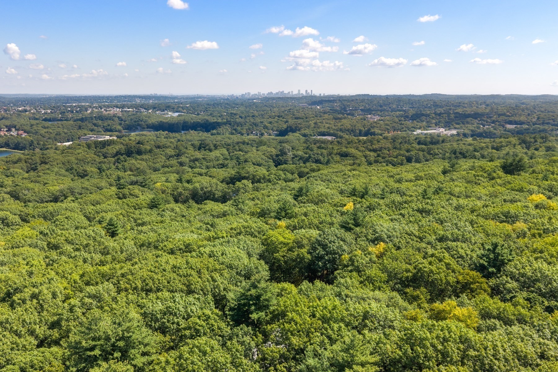 Aerial view over wooded hills toward a distant city skyline.