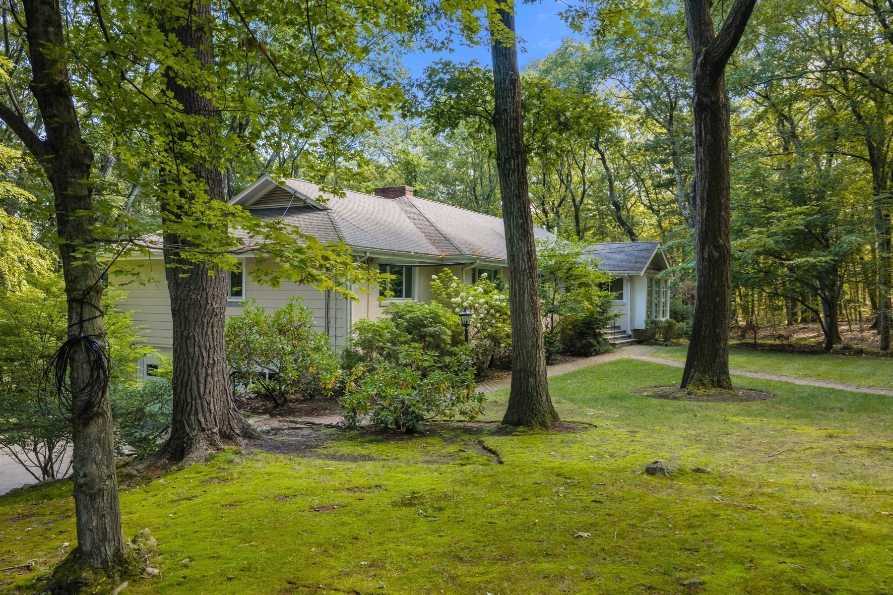 Low, light-colored house nestled among mature trees, with a lawn and brick walkway.