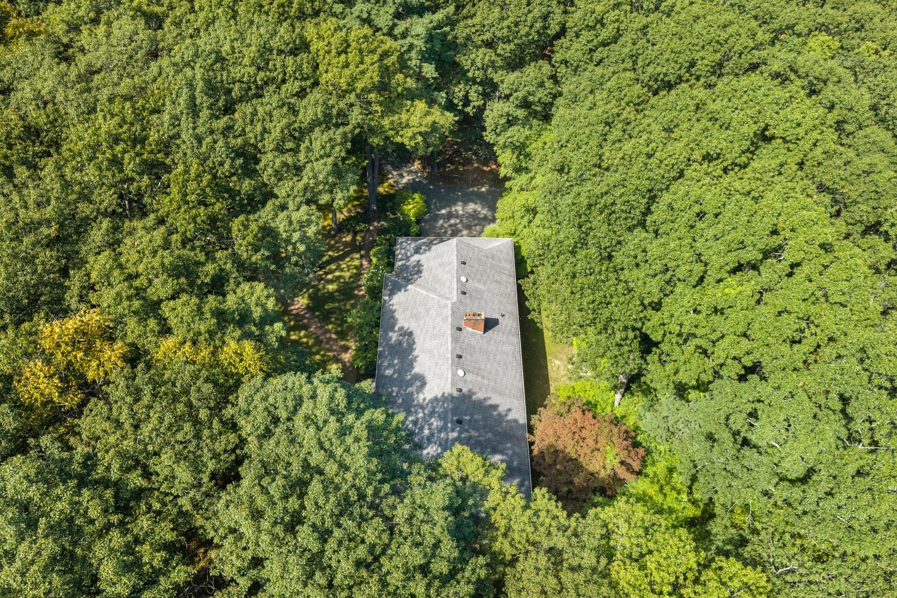 Aerial view of a house nestled among dense trees, with its roof and driveway visible.