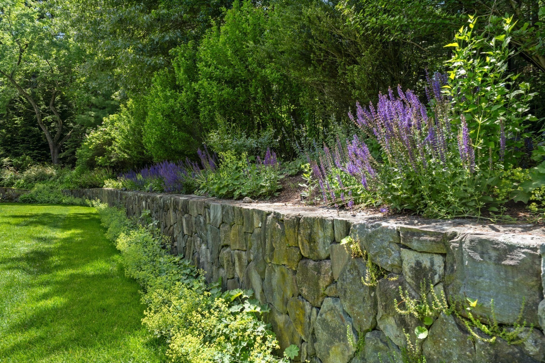 Garden with purple flowers above a stone retaining wall beside a lawn.
