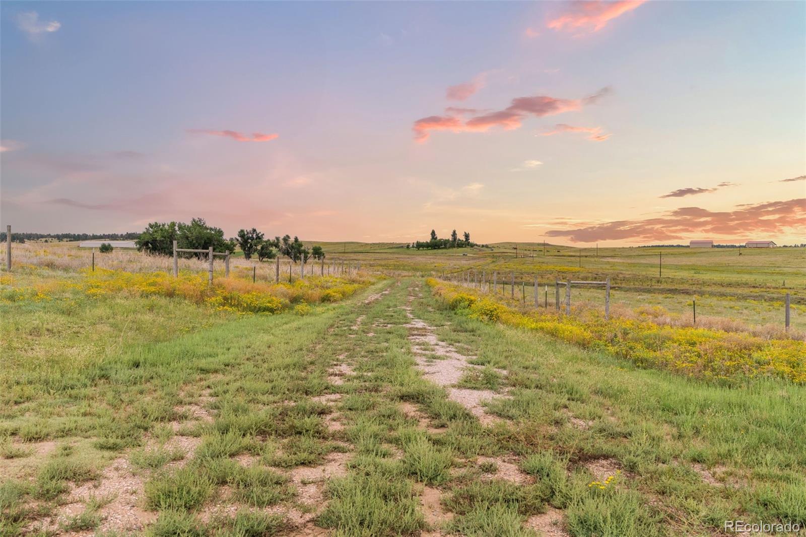 22685 Cow Circle