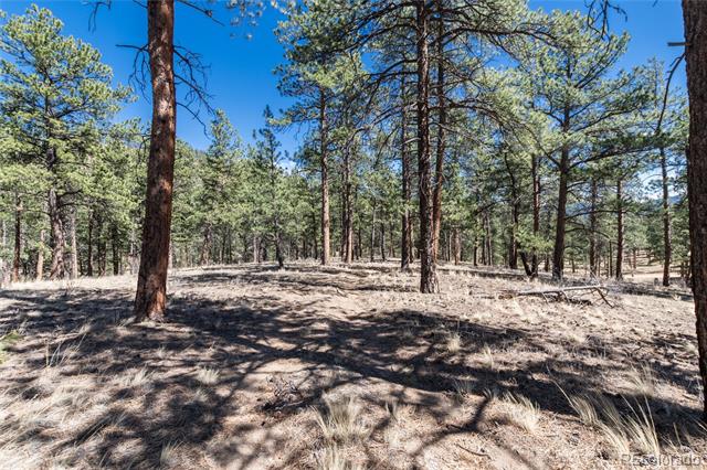 Lot 12A Bailey Estates