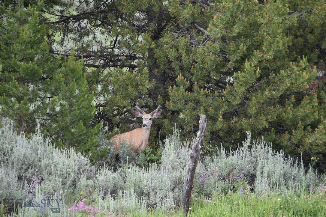 58 Upper Moose Hill Road