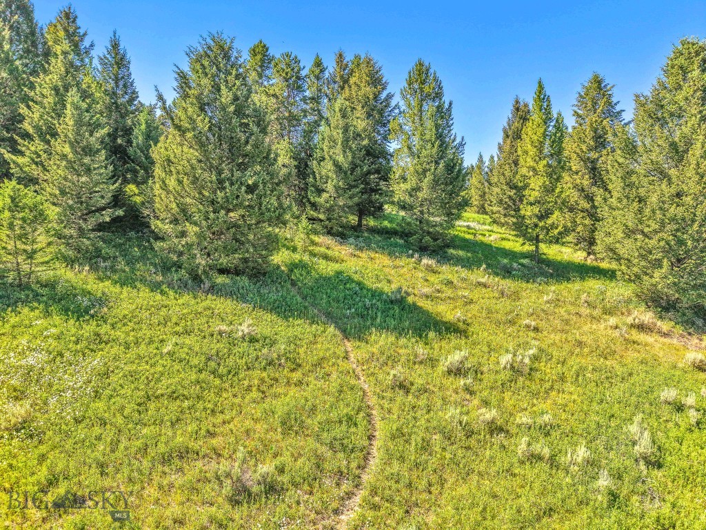 58 Upper Moose Hill Road