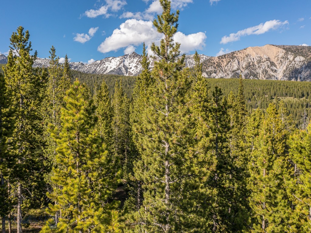 Lot 3 Lost Trails Road
