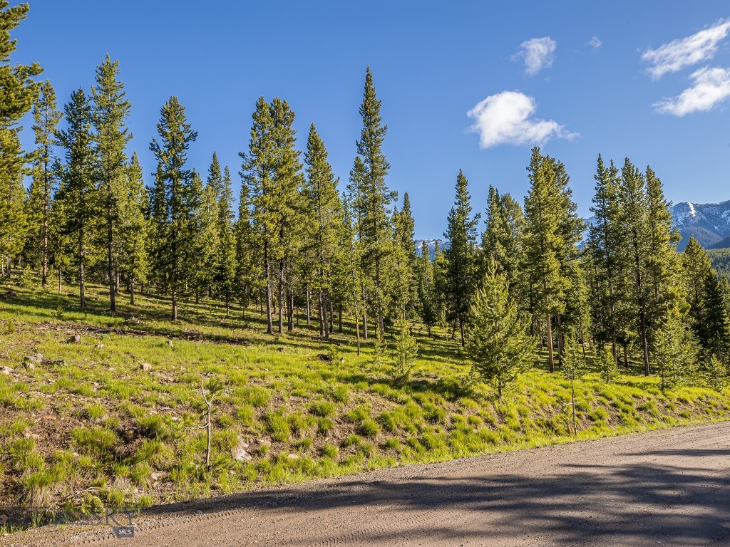 Lot 3 Lost Trails Road