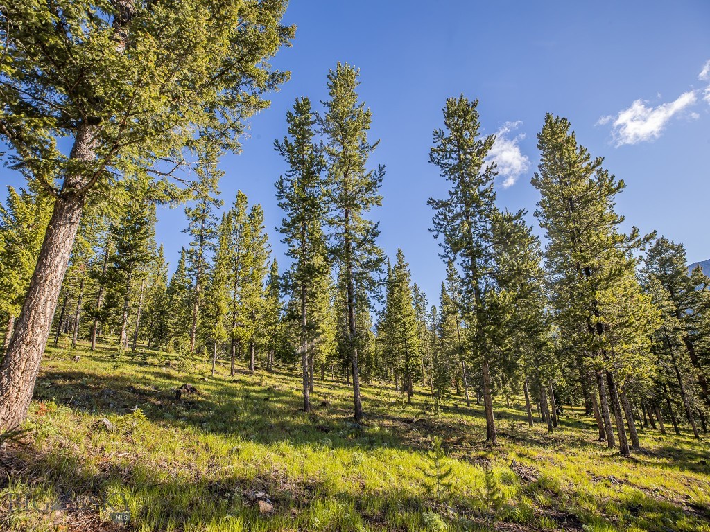 Lot 3 Lost Trails Road
