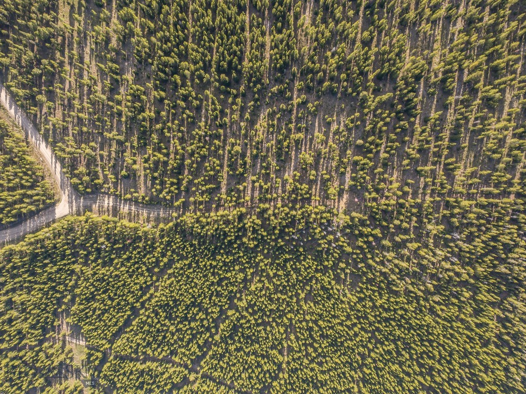 Lot 3 Lost Trails Road
