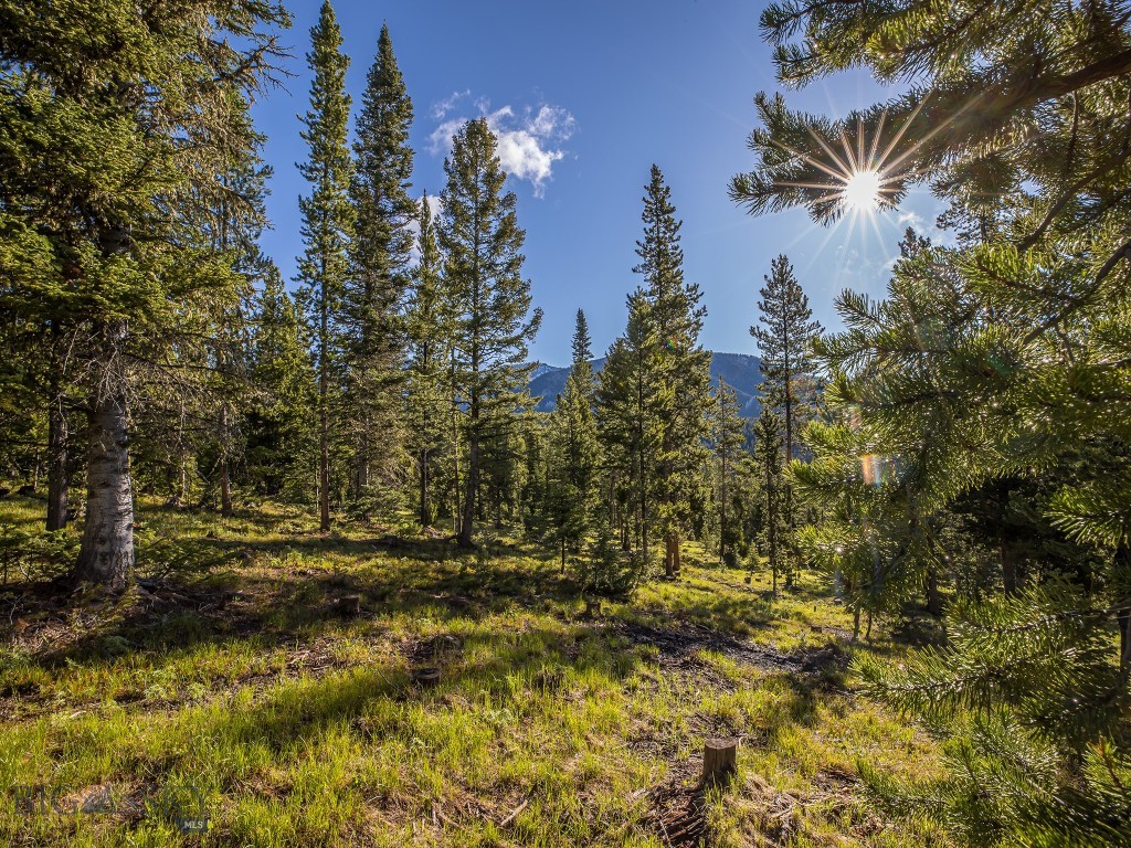 Lot 3 Lost Trails Road