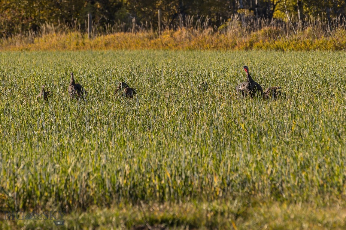 10669 Gee Norman Road