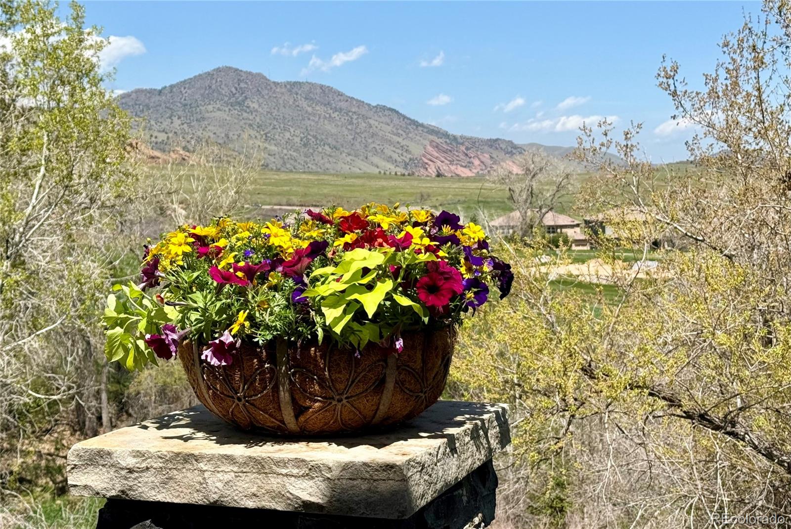 16223 River Haven Way