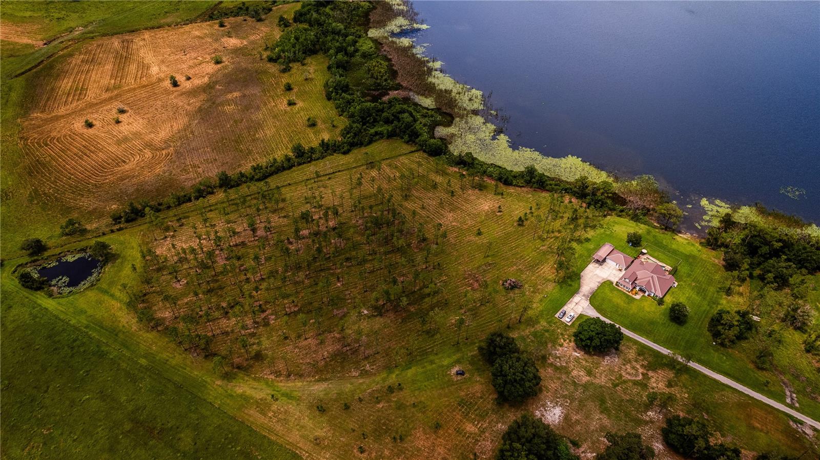 2360 LIVE OAK LAKE RD