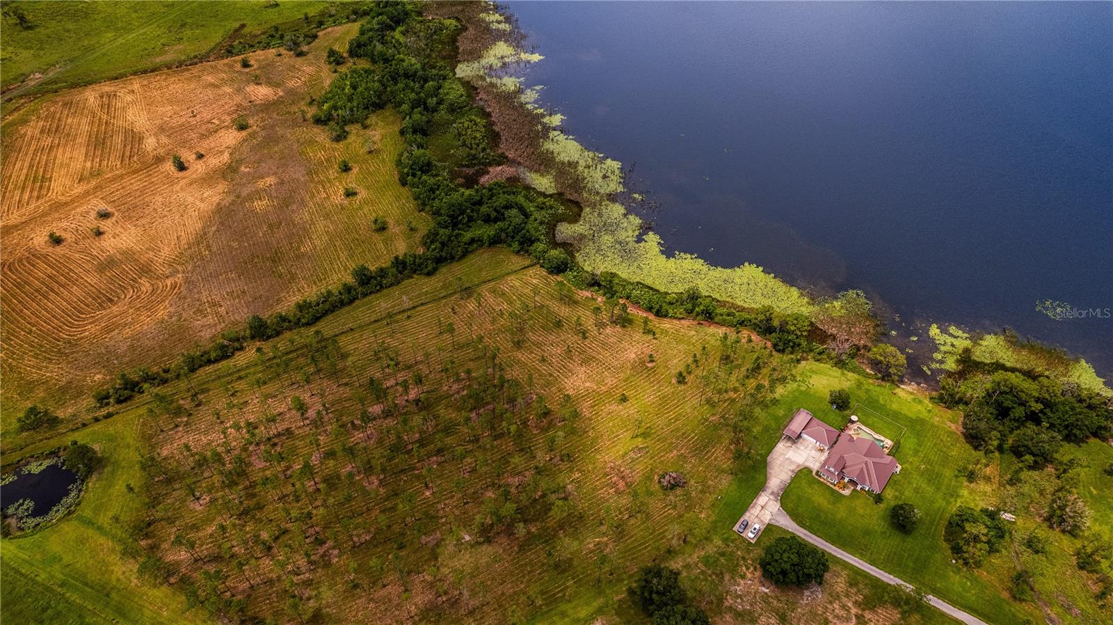 2360 LIVE OAK LAKE RD