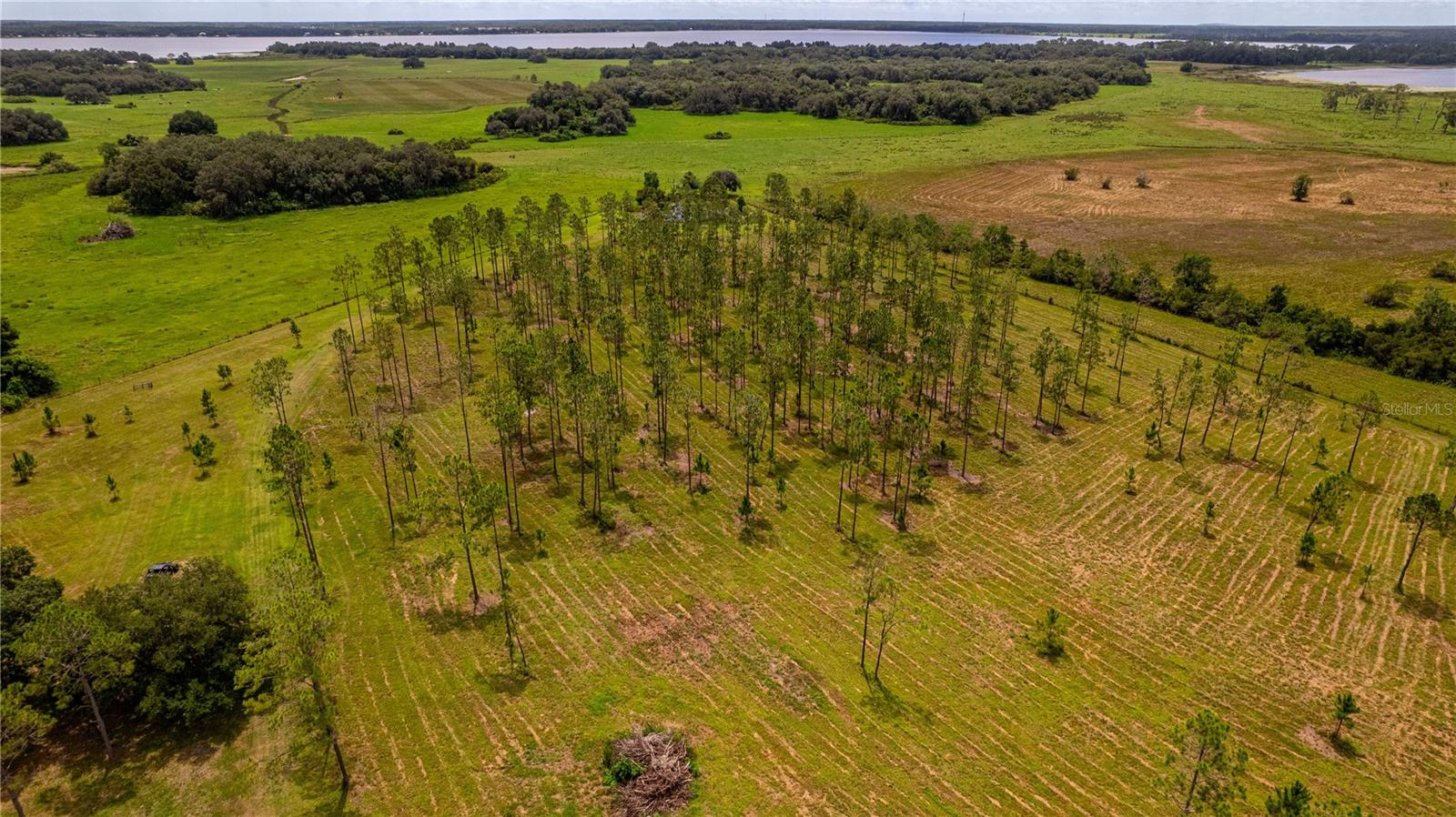 2360 LIVE OAK LAKE RD