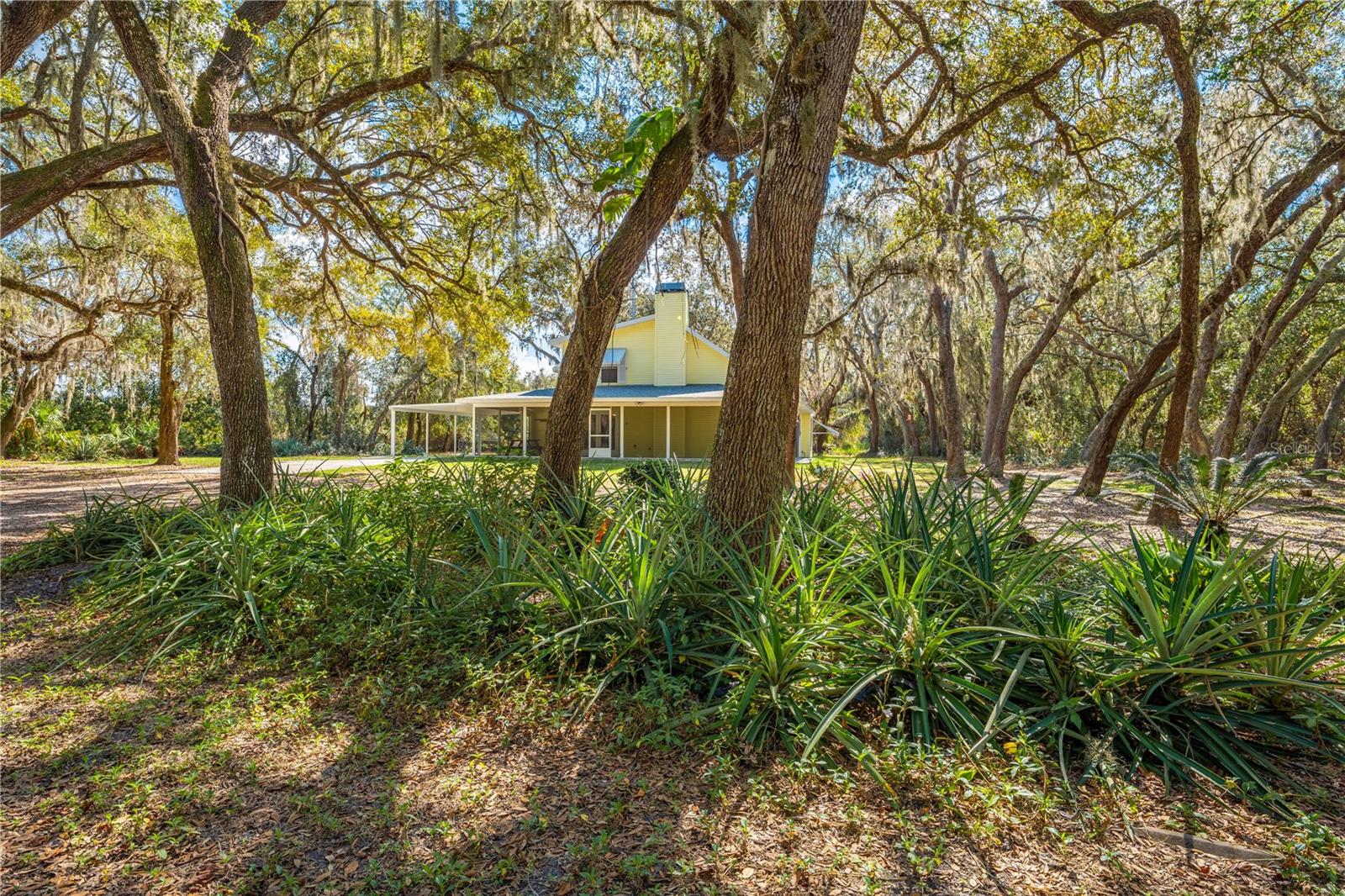 2921 SEMINOLE RD