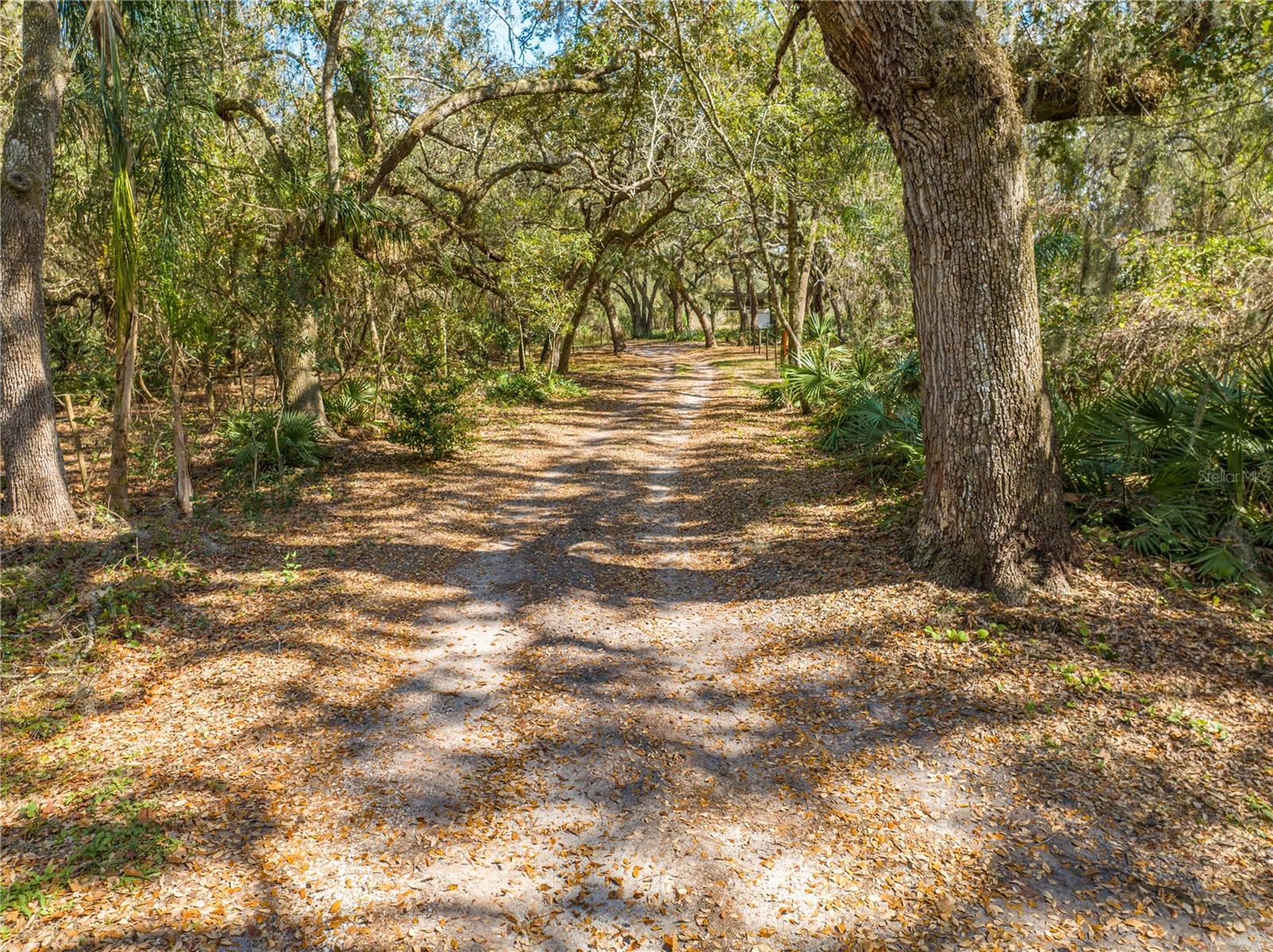 2921 SEMINOLE RD